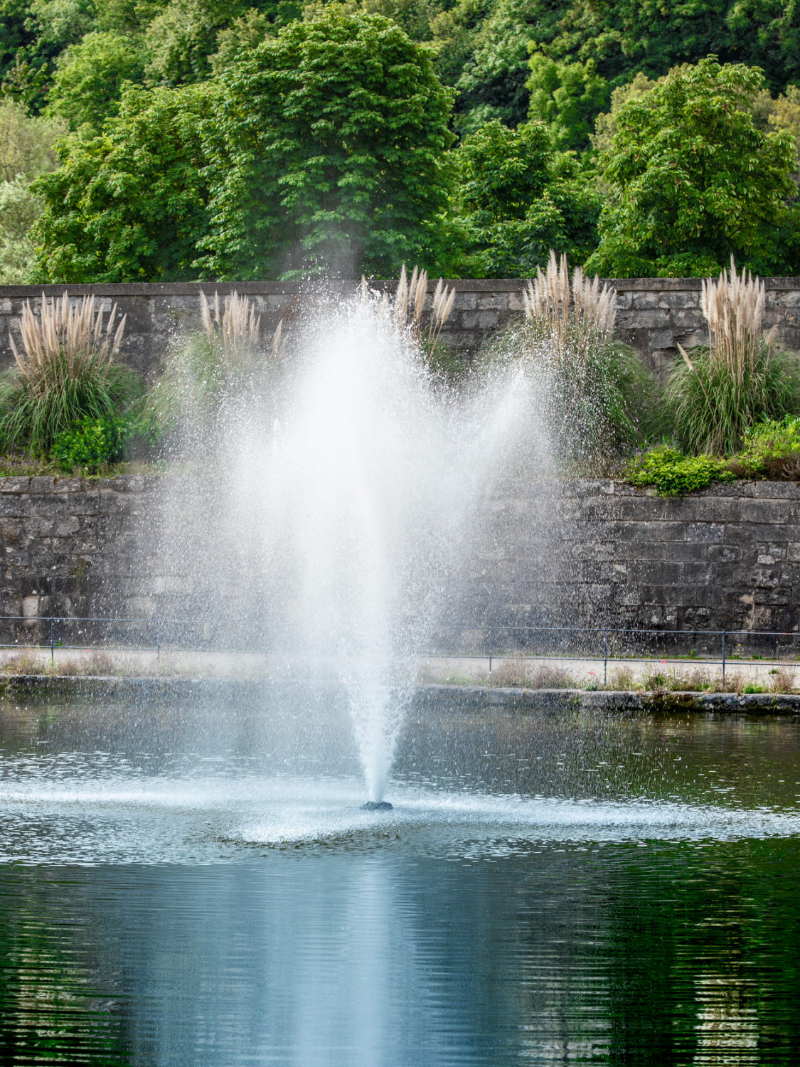 Aération plan d'eau